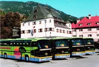 Busse Busse