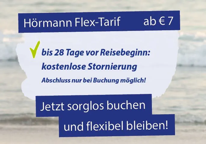 Übersicht-Flex-Tarif Flex-Tarif