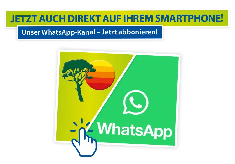 Whatsapp kanal