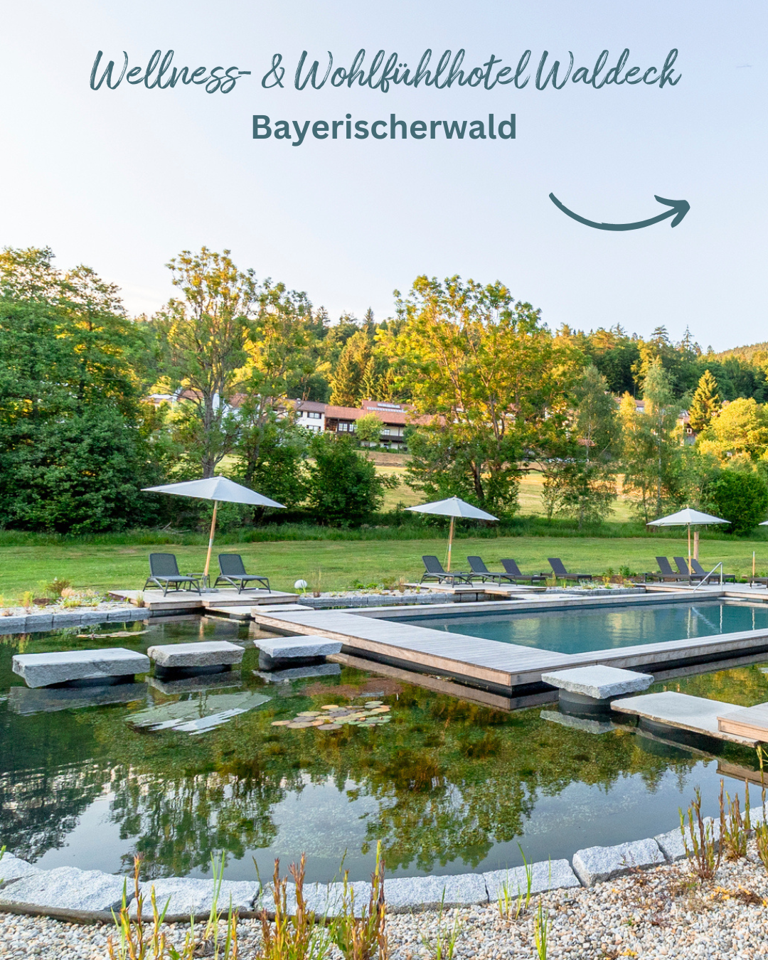 bayrischer wald