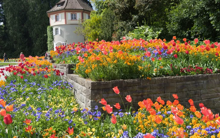 bunte Blumenbeete im Schlosspark auf der Insel Mainau