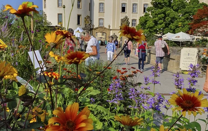 Schloss Langenburg