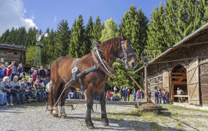 Glentleiten, Göpel am Dreschtag
