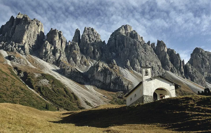 Axamer Lizum, Alpenrosen