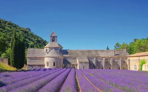 Senanque