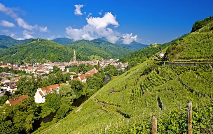 Grand Cru Weinberg, Thann, Elsass, Frankreich