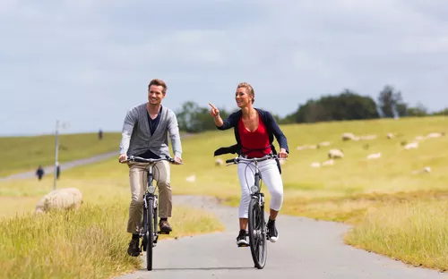 Paar während einer Radtour am Deich mit Schafen