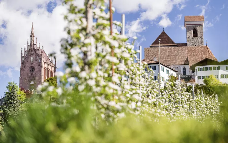 Schennerhof
