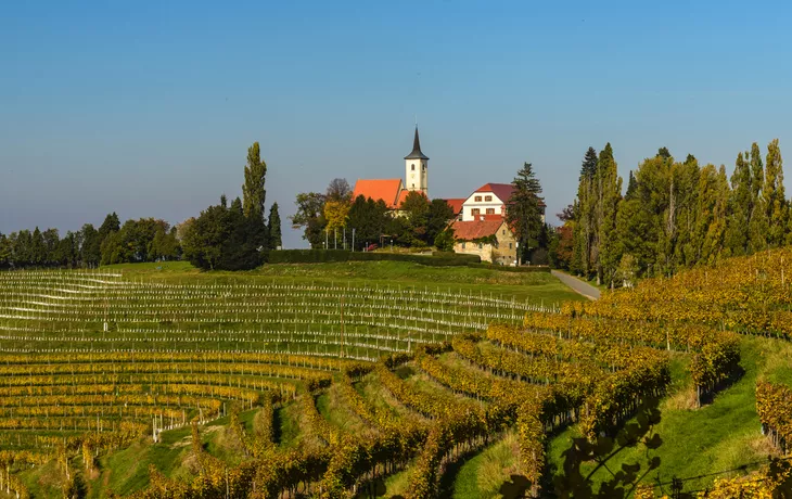 Weinberge von Jeruzalem in Slowenien