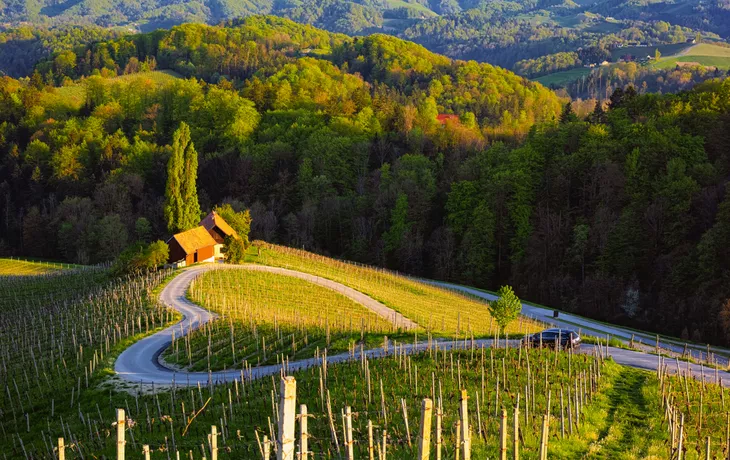 Weinberge im Sommer: die Herzerl Straße an der Grenze zwischen der Steiermark und Slowenien
