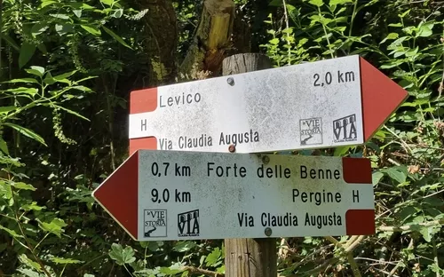 Levicosee
