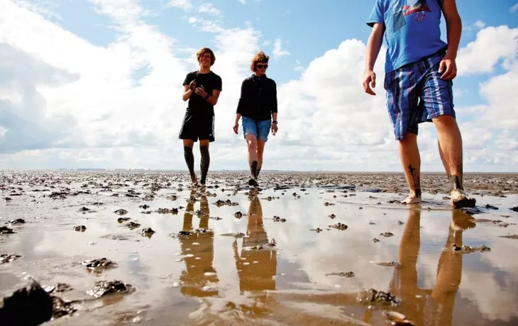 Wattwandern an der Nordsee 709