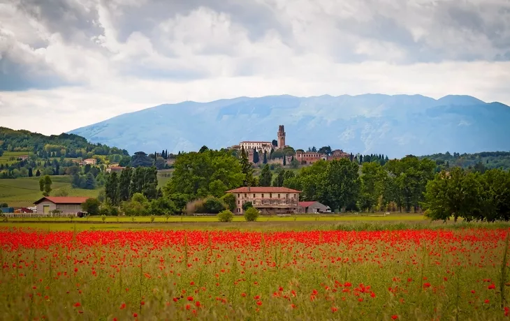 Schloss von San Salvatotore, Susegana, Treviso