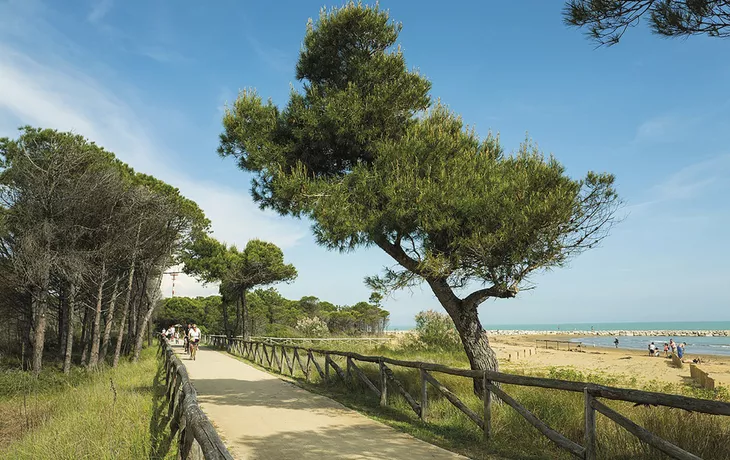 Radweg bei Bibione