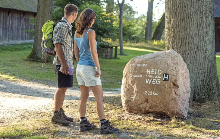 Wandern in der Lüneburger Heide