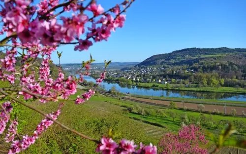 Wasserbilligerbrück an der Mosel