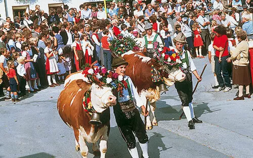Almabtrieb