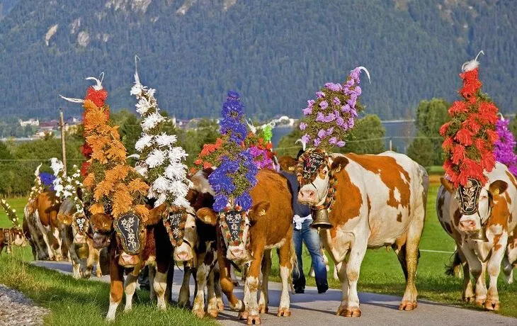 Almabtrieb