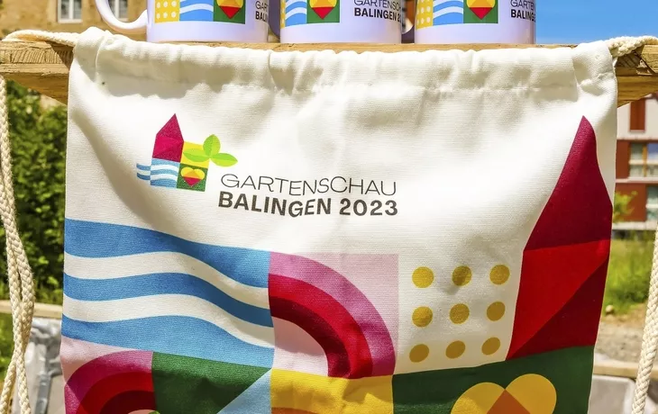 Balingen, Schloss