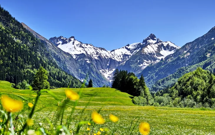 Trettachtal - Alpen, Blumenwiesen und Berge mit Schnee auf Gipfeln