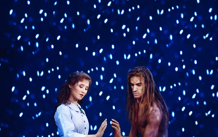 TARZAN -  das Musical
