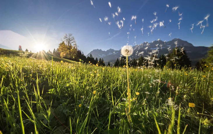 perfekter Frühlingsbeginn am Wilden Kaiser in Tirol