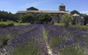 Provence Wandern - 7 Tage - 2024