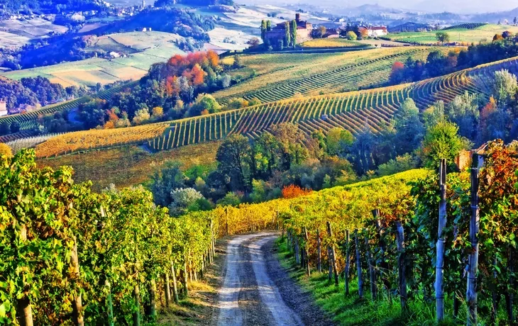 Weinberge und Schlösser von Piemonte im Herbst