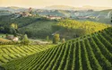 Kulinarische Schätze des Piemont - 6 Tage - 2024