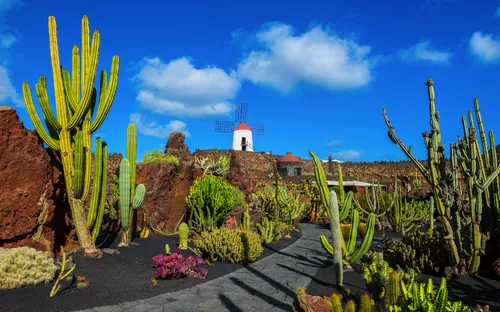 Jardín de Cactus nahe Guatiza an der Nordostküste von Lanzarote