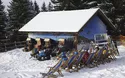 Jungholz - Winterspass - 1 Tag - 2024