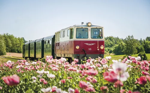 Waldviertelbahn in Niederösterreich