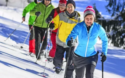 im Gänsemarsch mit Schneeschuhen unterwegs