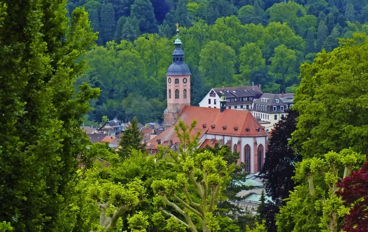 Blick über das Wasserparadies zur Altstadt mit Stiftskirche in Baden-Baden