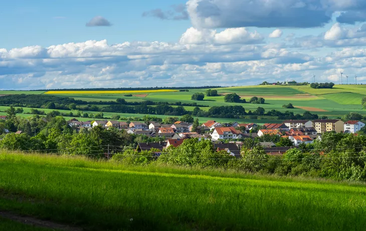Stadtbild von Kirchheimbolanden als Panorama