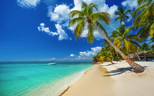 Costa del Coco, die Kokosküste nahe Punta Cana