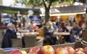 Berlin Grüne Woche - 3 Tage