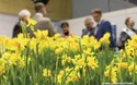 Berlin Grüne Woche - 3 Tage