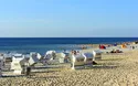 Nordseeinseln - Rad - 6 Tage