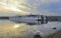 Croisi Europe MS Elbe Princesse II - Die Schlösser Böhmens - 7 Tage - Flusskreuzfahrt