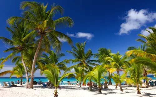 tropischer Strand der Insel Saona, Dominikanische Republik