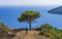 Elba - Wandern - 6 Tage