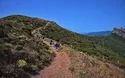 Elba - Wandern - 6 Tage