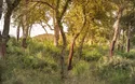 Sonniger Norden Sardiniens - 8 Tage