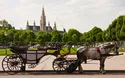 Wien - 4 Tage