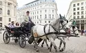 Kaiserstadt Wien - 3 Tage