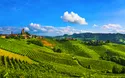 Piemont - 5 Tage