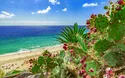 Costa Fortuna - Madeira und Kanaren - 15 Tage - ab/bis Savona