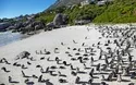 Südafrika - 16 Tage