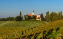 Slowenische Toskana - 5 Tage